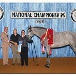 Estampa-Reserve-Grand-Champ-08