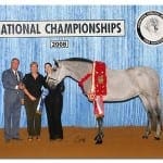 Inez-Reserve-Champ-US-08