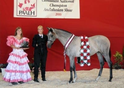 VMF Coqueta Elegante 2010 Champion