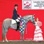 Estampa MA 2012 Champion