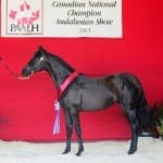 VA Sofia 2013 Champion